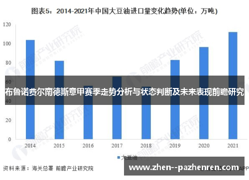 布鲁诺费尔南德斯意甲赛季走势分析与状态判断及未来表现前瞻研究